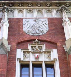 Collegium Novum