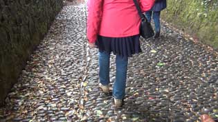 Clovelly