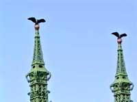 Budapest - Freiheitsbr�cke