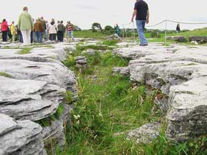 Burren