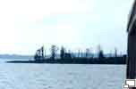 Kormoran-Insel