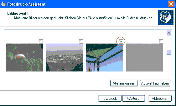 Bild 033
