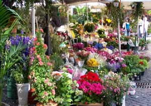 blumenmarkt