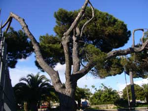 Park Lido di Ostia