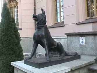 Hund vor dem Jagdschloss