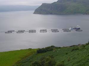 Insel Skye